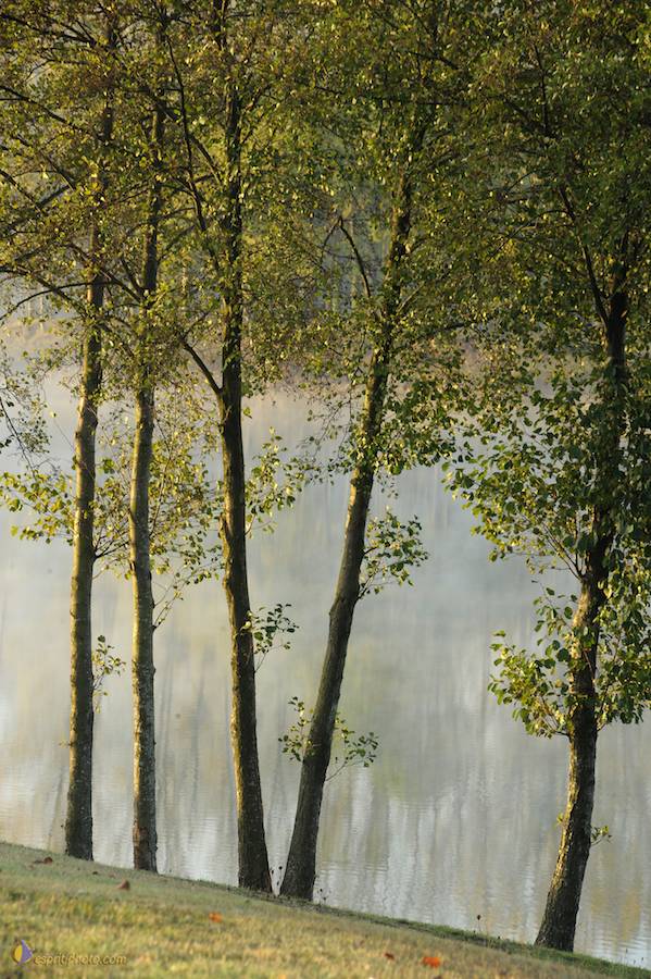 Nom de l'image : D30082670_1_(c)Norbert-JUNG — Description :